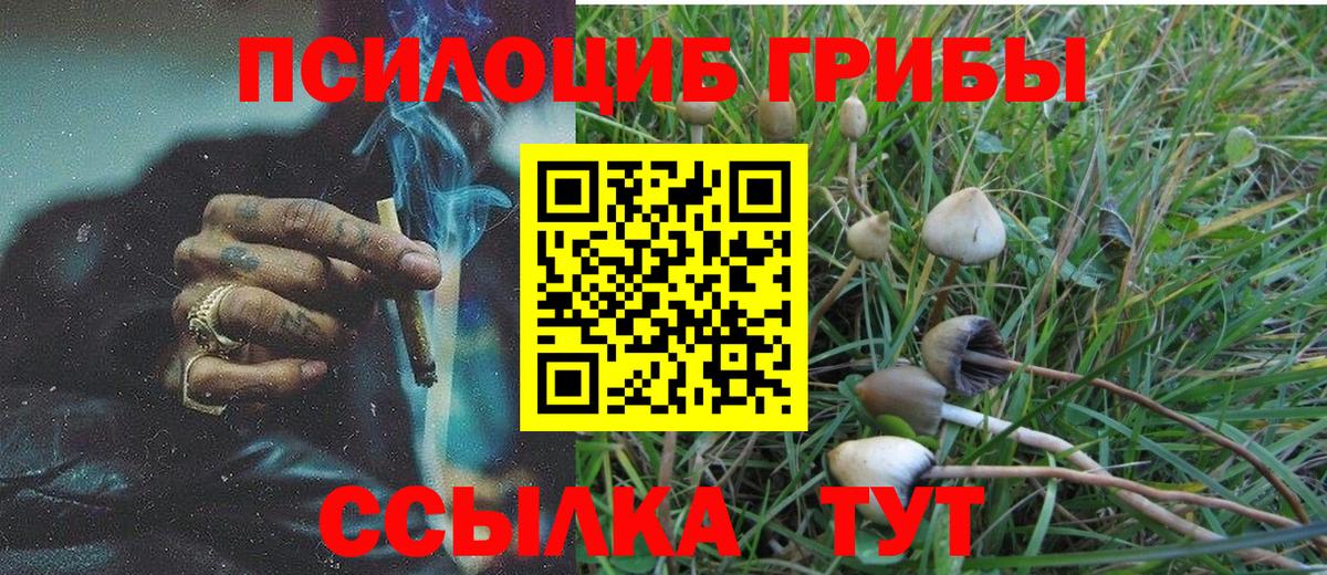 Галлюциногенные грибы Psilocybine cubensis  Вход с VPN  Асбест 