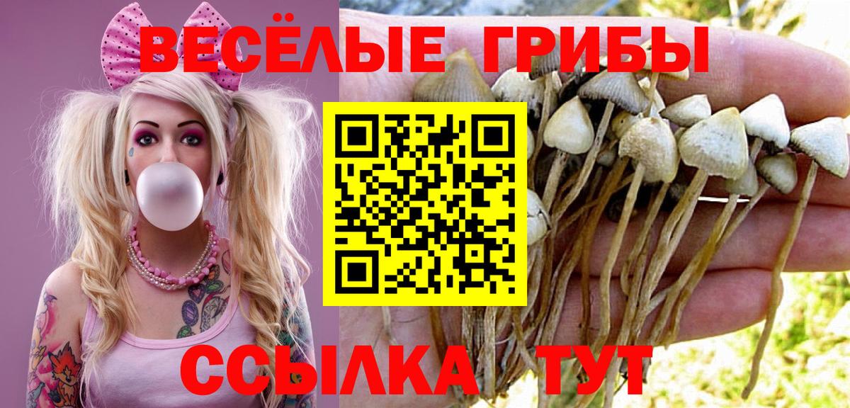 Псилоцибиновые грибы мицелий Асбест